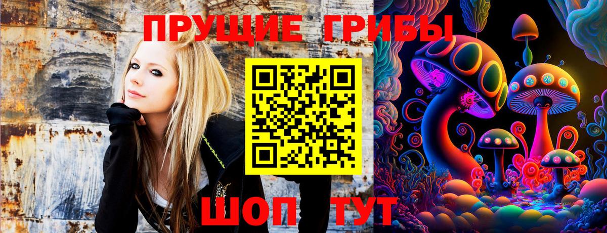 Псилоцибиновые грибы MAGIC MUSHROOMS  Галлюциногенные грибы GOLDEN TEACHER  Вход с VPN  Белая Калитва 
