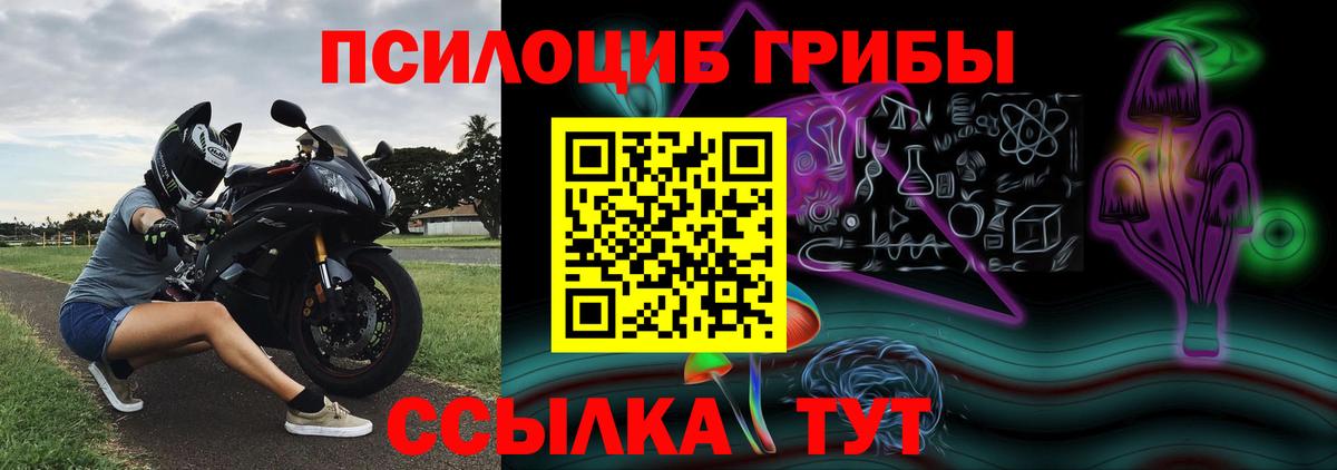 Галлюциногенные грибы Psilocybe Белая Калитва